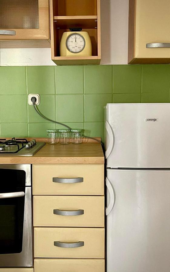 Apartments Leo เพทรอซาเน ภายนอก รูปภาพ